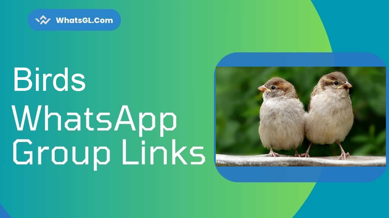 Birds WhatsApp Group Links